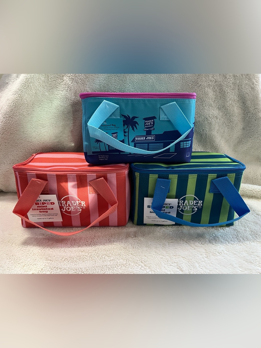 Trader Joe's Mini Striped Insulated Lunch Tote - Summer Collection 2026. NWT